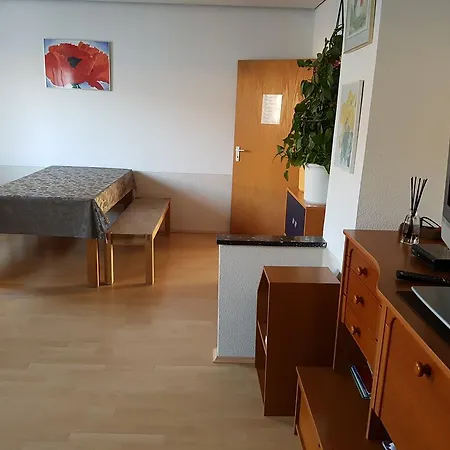 Ferienhaus Bauer 公寓 齐恩多夫